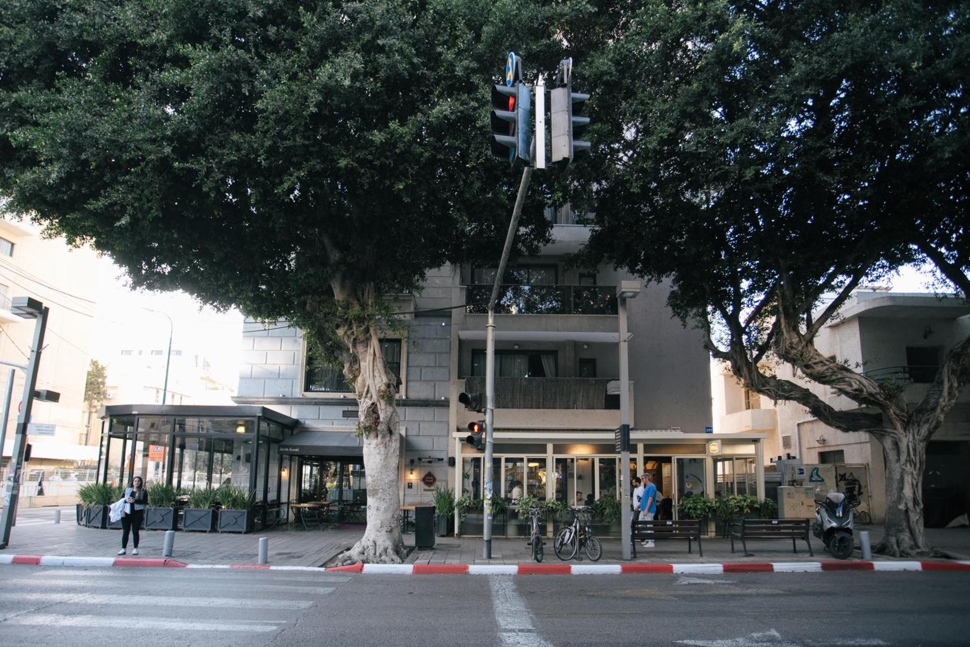 תל אביב Haim Arlosoroff Residence With Shelter מראה חיצוני תמונה